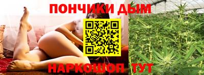 стафф Гай