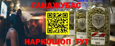 стафф Гай