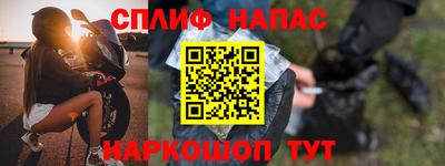 стафф Гай