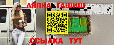стафф Гай