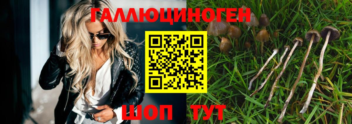 Галлюциногенные грибы прущие грибы Реутов